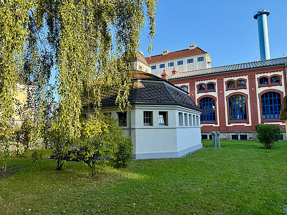 IMG_4425.jpg  